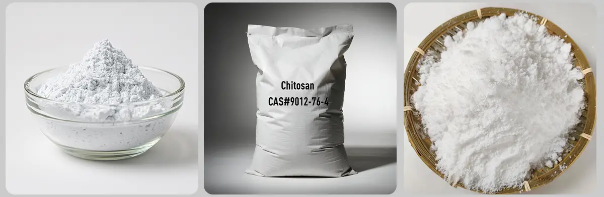 Chitosan