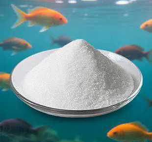 Applications of DMPT in Aquatic Animal Nutrition