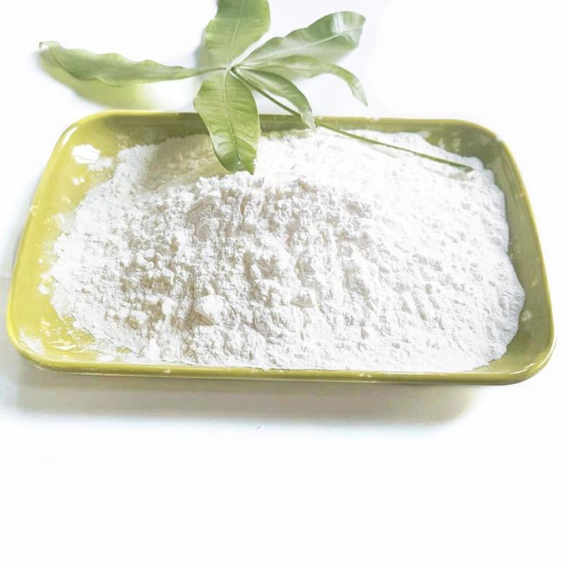 Lipase