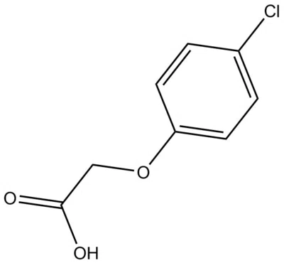 Funzioni dell'acido 4-clorofenossiacetico
